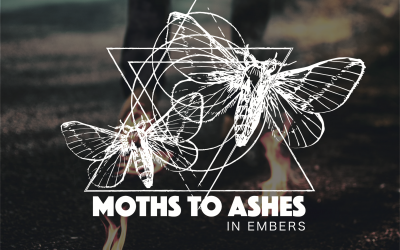 Moths to Ashes